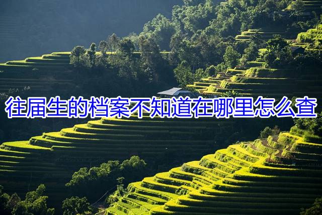 往届生的档案不知道在哪里怎么查