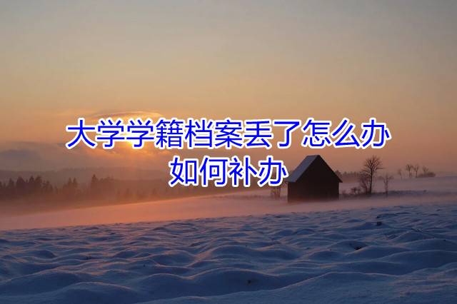 大学学籍档案丢了怎么办，如何补办