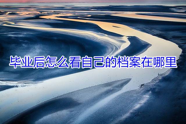毕业后怎么看自己的档案在哪里