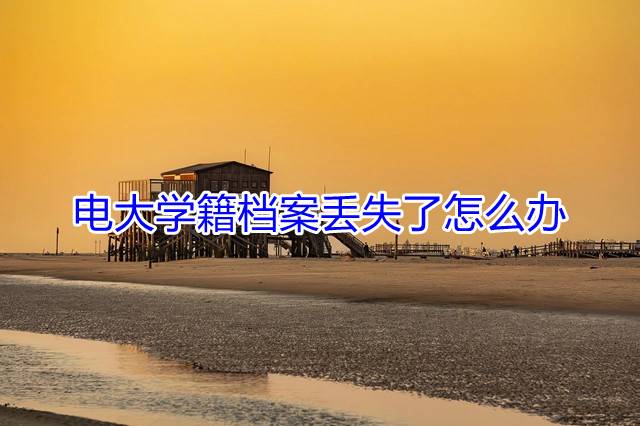 电大学籍档案丢失了怎么办