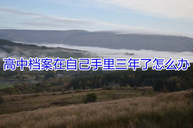 高中档案在自己手里三年了怎么办