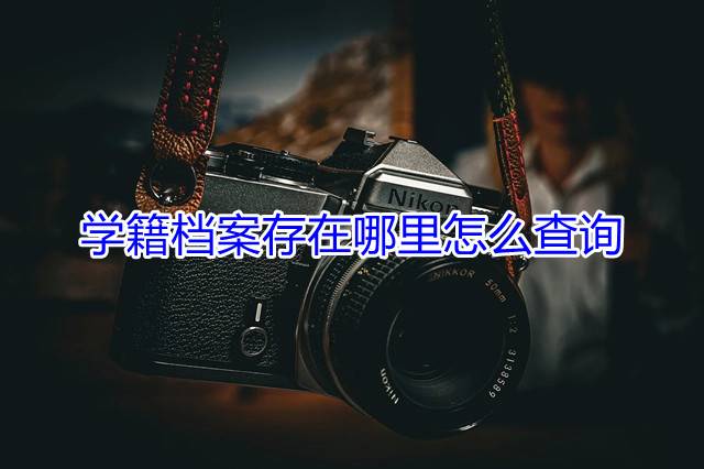 学籍档案存在哪里怎么查询