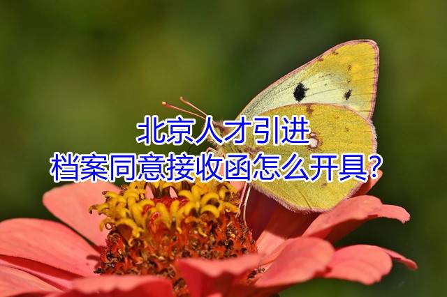 北京人才引进档案同意接收函怎么开具？