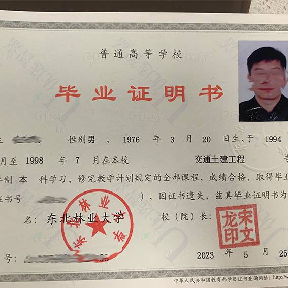 大学毕业证丢了怎么办，毕业十年了