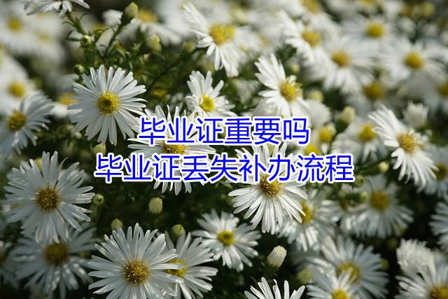 毕业证重要吗，毕业证丢失补办流程