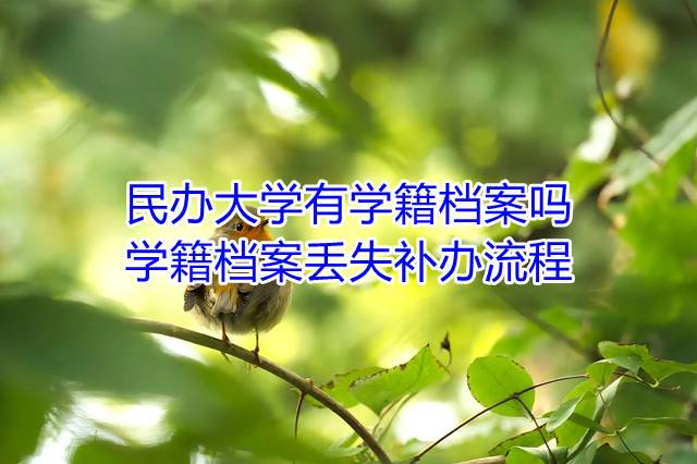 民办大学有学籍档案吗，学籍档案丢失补办流程