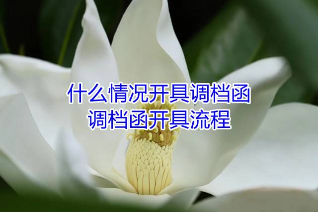 什么情况开具调档函，调档函开具流程