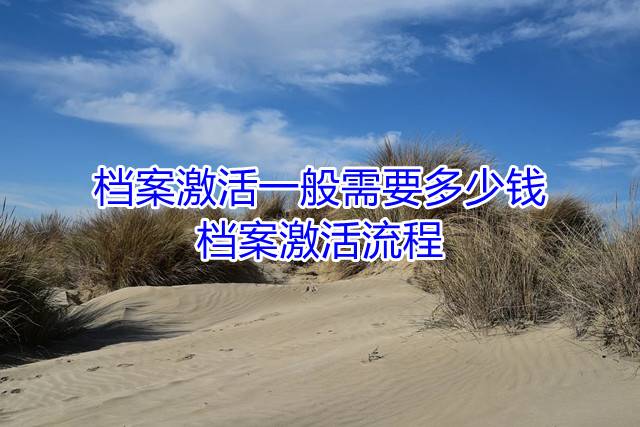 档案激活一般需要多少钱，档案激活流程