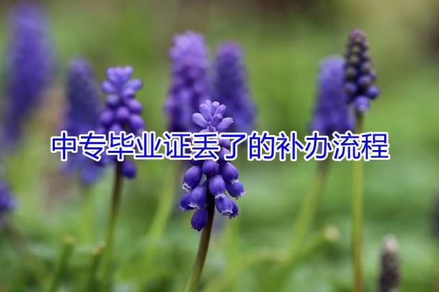 中专毕业证丢了的补办流程