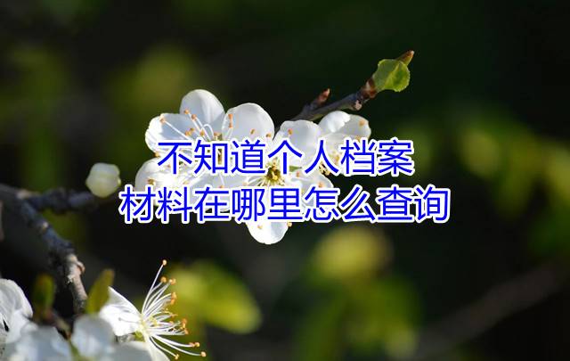 不知道个人档案材料在哪里怎么查询