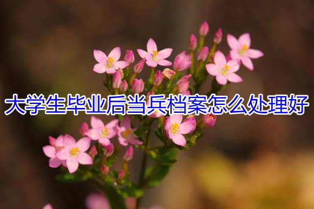 大学生毕业后当兵档案怎么处理好
