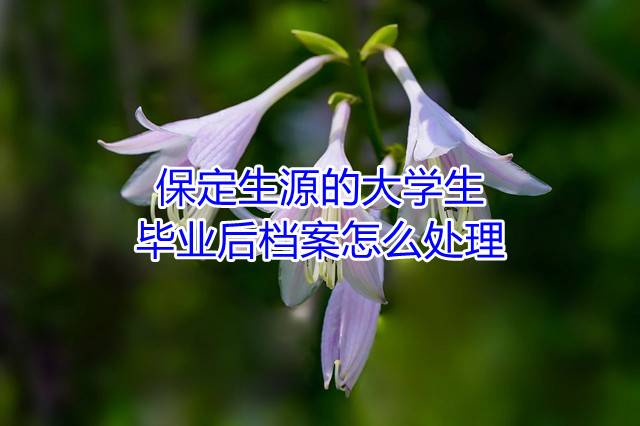 保定生源的大学生毕业后档案怎么处理