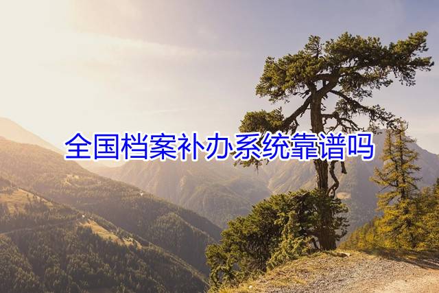 全国档案补办系统靠谱吗