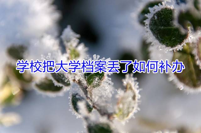 学校把大学档案丢了如何补办