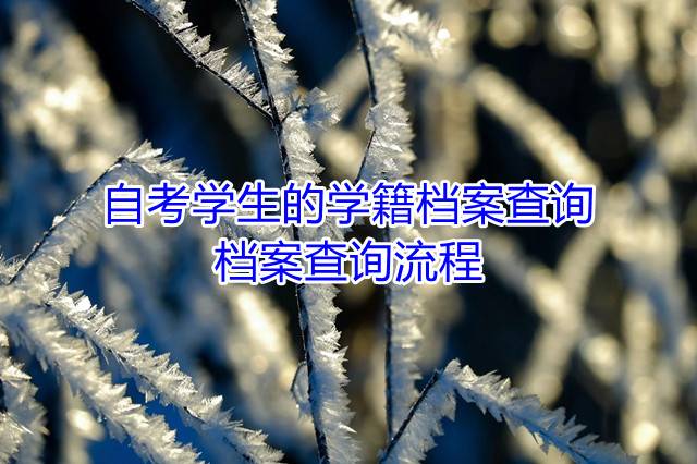 自考学生的学籍档案查询，档案查询流程