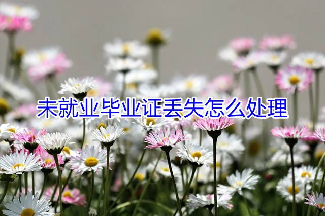 未就业毕业证丢失怎么处理