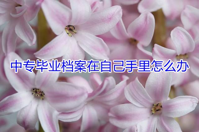 中专毕业档案在自己手里怎么办