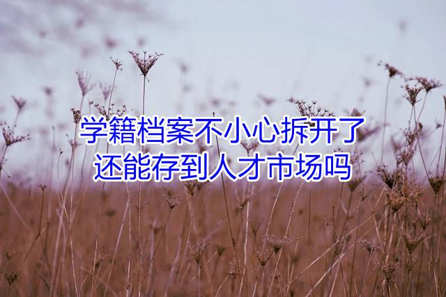 学籍档案不小心拆开了还能存到人才市场吗