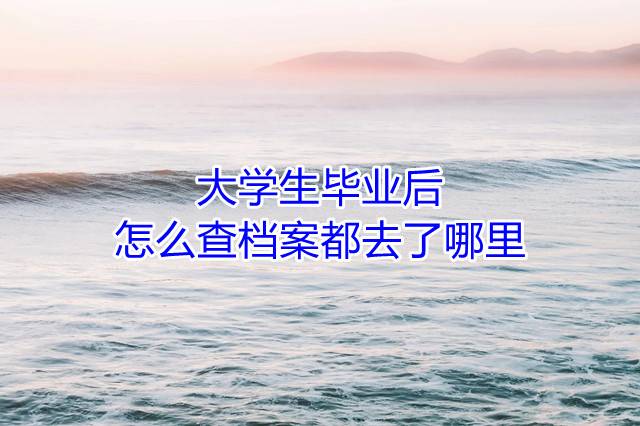 大学生毕业后怎么查档案都去了哪里