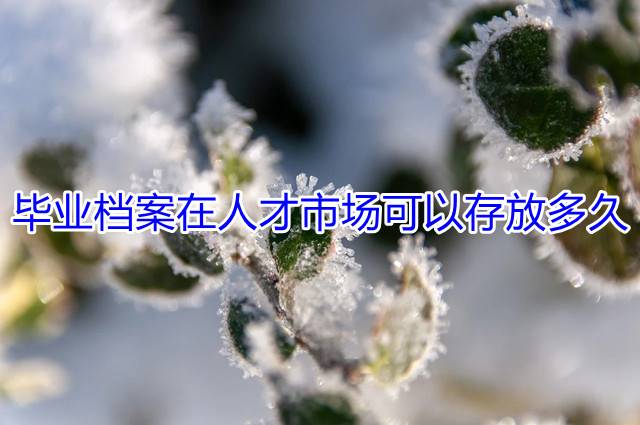 毕业档案在人才市场可以存放多久