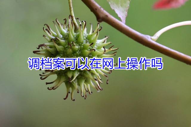 调档案可以在网上操作吗