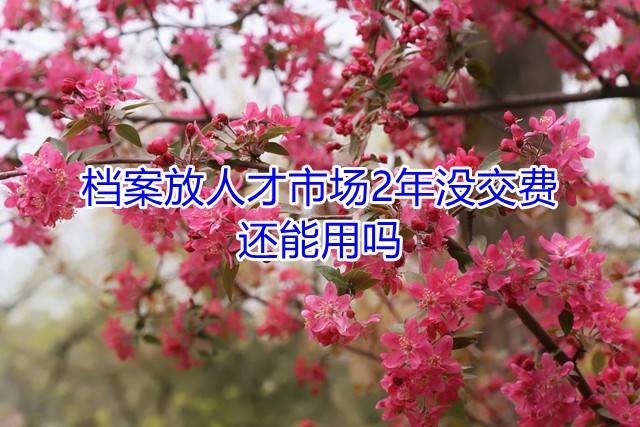 档案放人才市场2年没交费，还能用吗