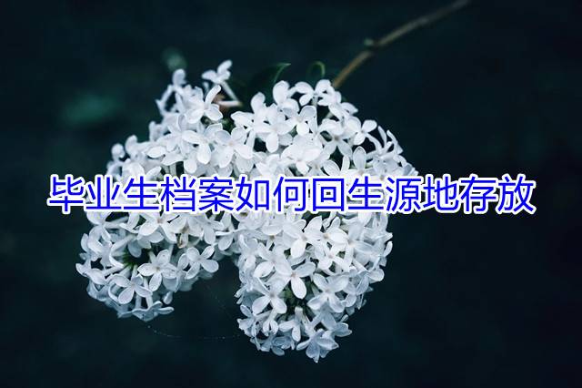 毕业生档案如何回生源地存放