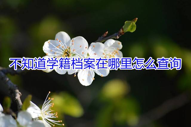 不知道学籍档案在哪里怎么查询
