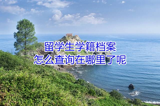 留学生学籍档案怎么查询在哪里了呢