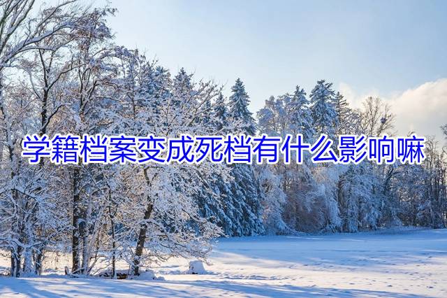 学籍档案变成死档有什么影响嘛