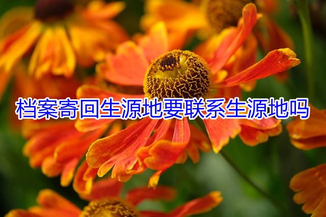 档案寄回生源地要联系生源地吗