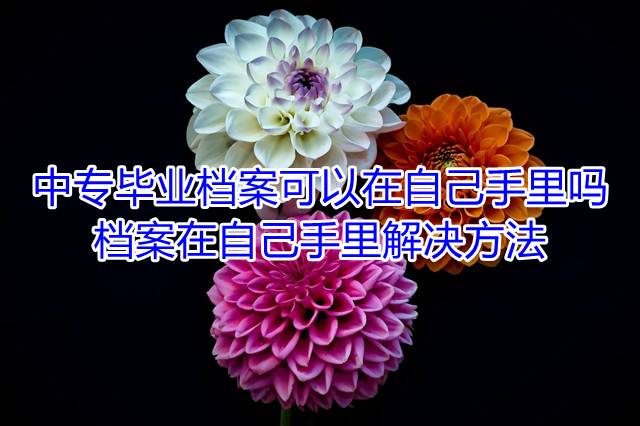 中专毕业档案可以在自己手里吗，档案在自己手里解决方法