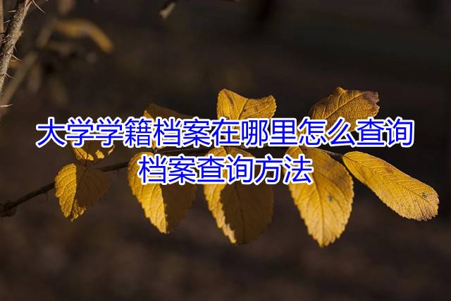大学学籍档案在哪里怎么查询，档案查询方法