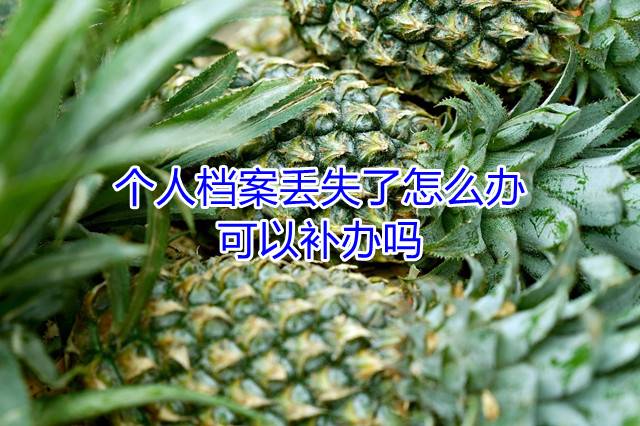 个人档案丢失了怎么办可以补办吗