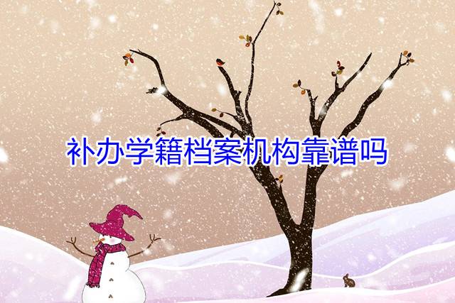 补办学籍档案机构靠谱吗