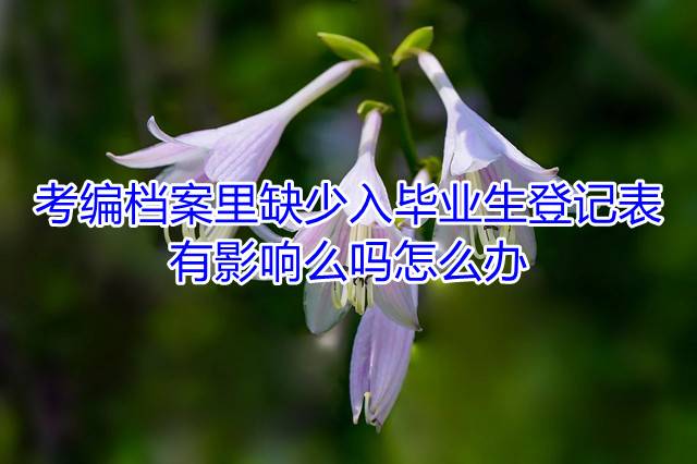 考编档案里缺少入毕业生登记表有影响么吗怎么办