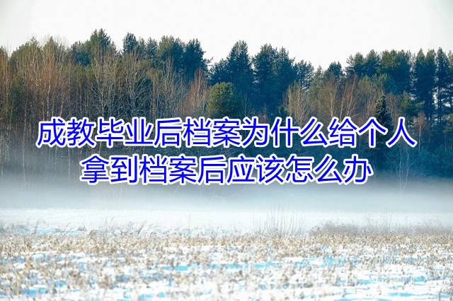 成教毕业后档案为什么给个人，拿到档案后应该怎么办