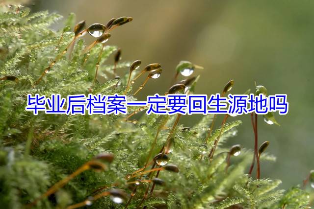 毕业后档案一定要回生源地吗