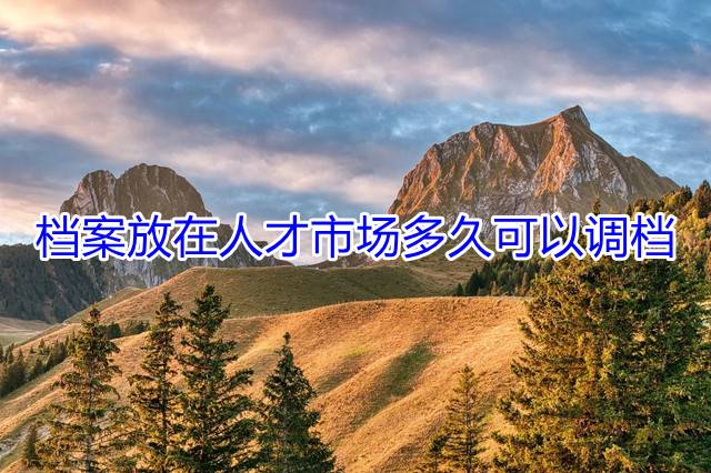 档案放在人才市场多久可以调档
