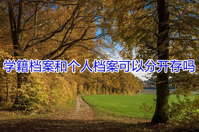 学籍档案和个人档案可以分开存吗