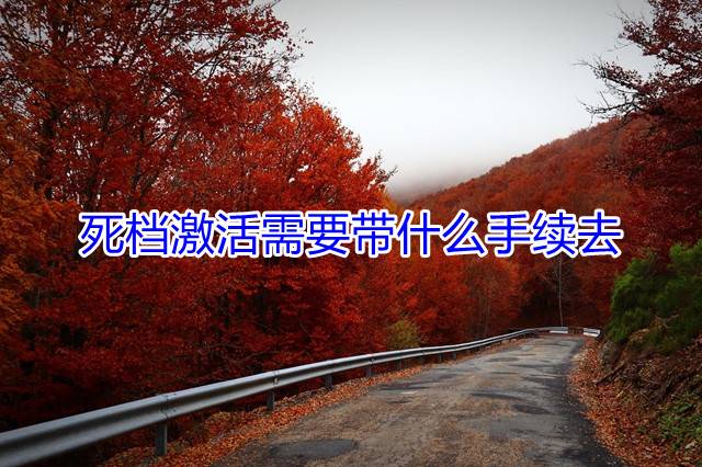 死档激活需要带什么手续去
