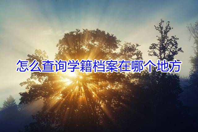 怎么查询学籍档案在哪个地方