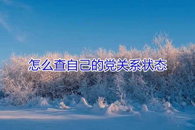 怎么查自己的党关系状态