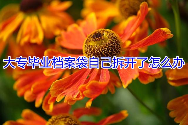 大专毕业档案袋自己拆开了怎么办