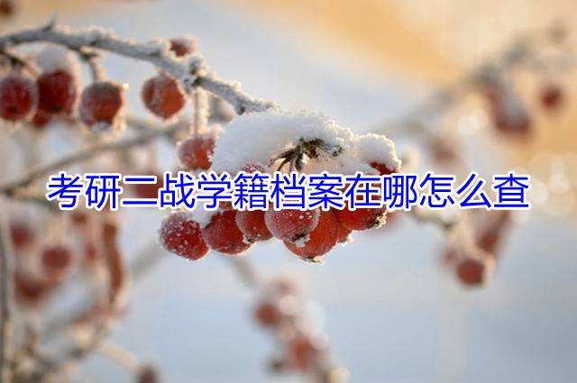 考研二战学籍档案在哪怎么查