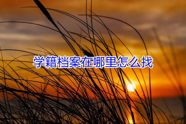 学籍档案在哪里怎么找