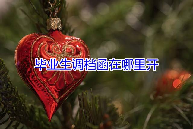 毕业生调档函在哪里开