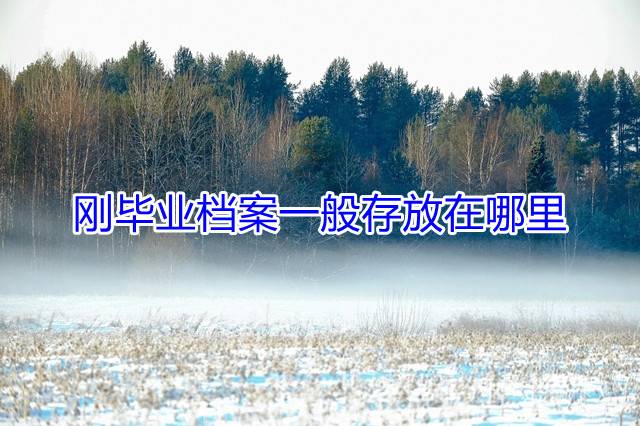 刚毕业档案一般存放在哪里