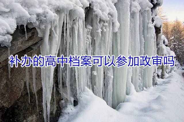 补办的高中档案可以参加政审吗