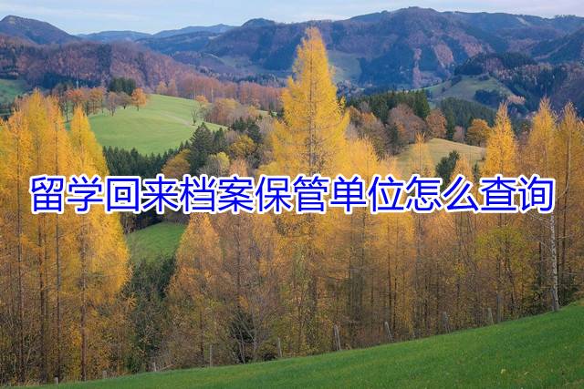 留学回来档案保管单位怎么查询